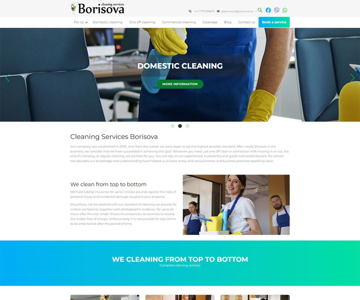 borisova-cleaningservices.co.uk