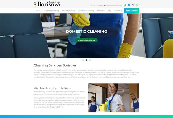 borisova-cleaningservices.co.uk